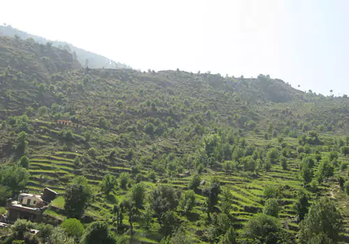 binsar valley