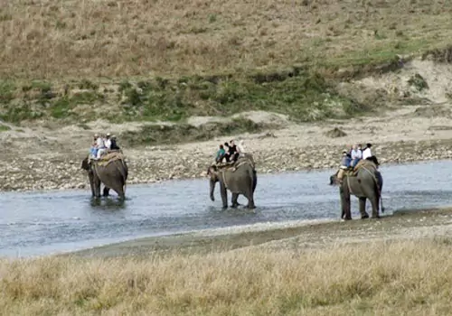 elephant safari jim corbett
